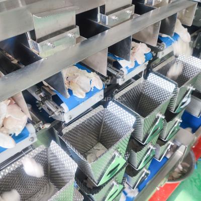 China 50g Maw Fish Bubble Fresh Food Multihead Weigher 8 Heads Screw Feeding Weigher for sale