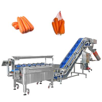 China Semi Auto Carrot Weighing And Packaging Machine Vegetable Mesh Bag Packing Machine for sale