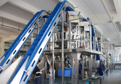 Chine pesage automatique de fruits secs de 140mm et machine à emballer pour le sac d'oreiller à vendre
