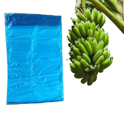 China Heat Seal Plastic Blue PE Bag For Banana Bunch Covers 20-200microns for sale