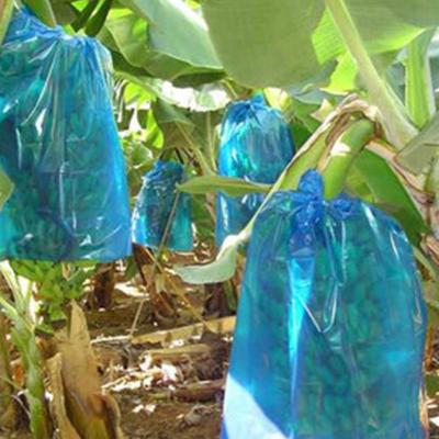 China Heat Seal Plastic Blue PE Bag For Banana Bunch Covers 20-200microns for sale
