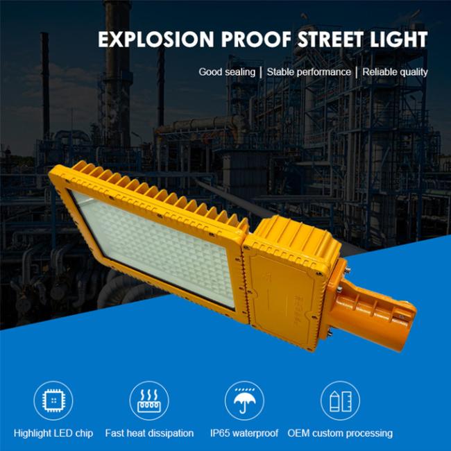 Explosion proof street light installation