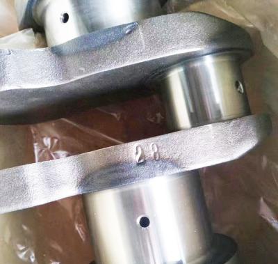 China Excavator Parts 3608833 Diesel engine crankshaft for NT855 engine for sale
