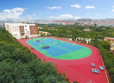 China No Toxic Anti Fade Running Track Flooring No Glue Shock Absorption for sale