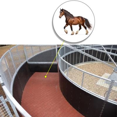 China Dog Shaped Rubber Horse Walker Mats For 36ft Diameter X 6ft 6in Walkway for sale