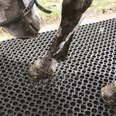 China Connect Multiple Mats To Cover Large Areas Light & Easy To Clean. Excellent Drainage To Horse Washroom for sale