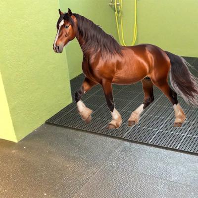 China Mats For Horse Shower Make It Possible To Secure The Showering Areas Of The Horses for sale