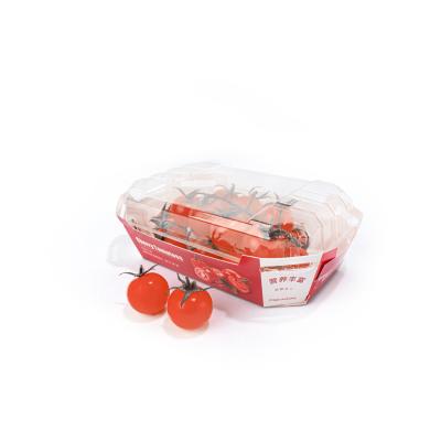 China Caixas de Cherry Fruit And Vegetable Packaging, alimento descartável dobrado Tray Boats à venda
