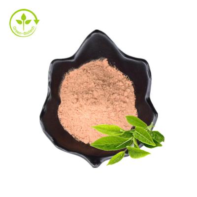 China Factory Price Wholesale Price Health Care Supplement Green Tea Leaves Extract Tea Polyphenols Powder for sale