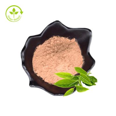 China Factory Wholesale Theanine Powder L-Theanine Powder 99% Greens Green Tea Extract Amino Acid Supplement for sale