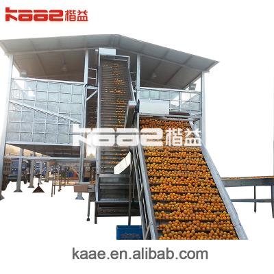 China Equipamento de processamento de suco de frutas 380V NFC Linha de produção de suco de laranja para suco à venda