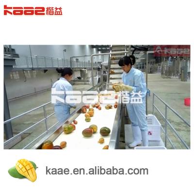 China Linha de processamento de mangas SS304 Sucos de abacaxi concentrado com prensador de cinto à venda