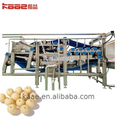 China 0.5 - 20T/H Línea de procesamiento industrial de jugo concentrado Máquina de procesamiento de jugo de baobab en venta