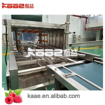 China Tropical Fruit Pulp Processing Line With Automatic Cleaning System Whole Line Fruit Pulp System for sale