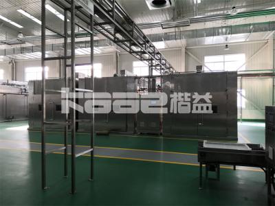China Continuous Mesh Drying Hot Conveyor Dryer Mesh Belt Dryer Machine PLC Control for sale