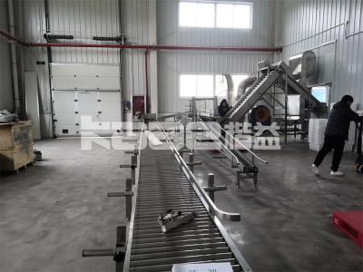 China Máquina de secagem de conveyor de gengibre de nozes Máquina de secagem de pimentão de peixe à venda