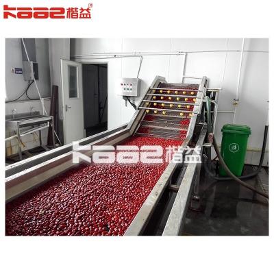 China SUS304 Máquina de processamento de tâmaras Linha de produção de sumo de jujuba para xarope de jujuba à venda