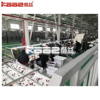 China 1-6M/min Velocidad de transmisión transportador secador de máquinas secador de cinturón en venta