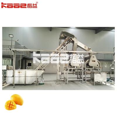 China High Efficiency Mango Juice Processing Plant Line Automatic Grade for sale
