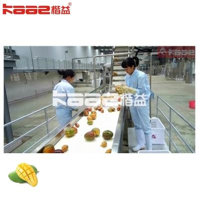 中国 商用マンゴー加工ライン アナナスジュースマシン SUS304 販売のため