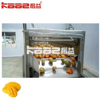 China Línea de producción automática de procesamiento de jugo de mango de frutas 50-500Ml líquido de bebidas en venta