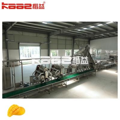 China Fruit Processing Line Mango Pulp Production Line 220v/380v for sale