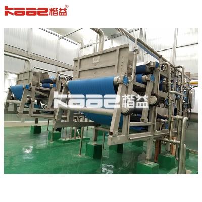 China Reliable Berry Juicer Machine Fruit Juice Processing Equipment Line for sale