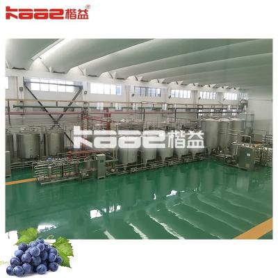 China Línea de procesamiento de la máquina de extracción de jugo de bayas completa automática Línea de producción de bebidas en venta