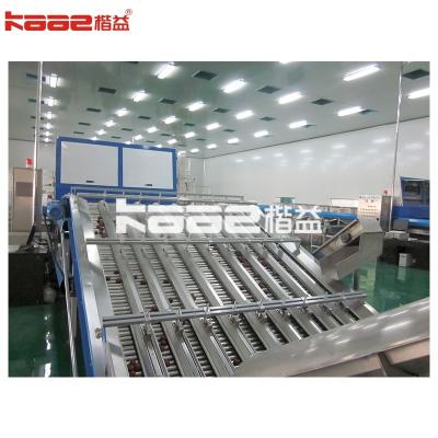 China 0.5 - 30t/H Automatic Sorting System Fruit Photoelectric Sorting System Automatic Fruit Sorting And Grading Machine for sale