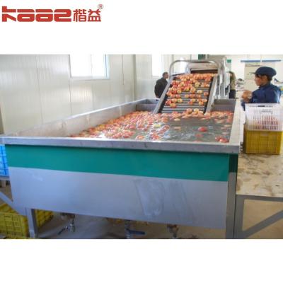 Chine Machine automatique de tri des fruits par poids et taille en acier inoxydable à vendre