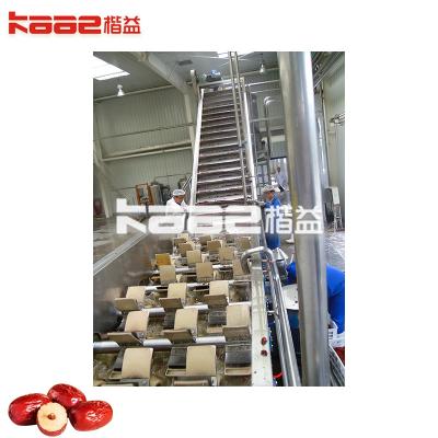 China Dates Processing Machines Date Cleaning And Dryer Machine Dates Processing Line for sale