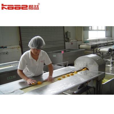 China 220V/380V 50/60Hz Línea de producción de alimentos enlatados personalizada aceptable en venta