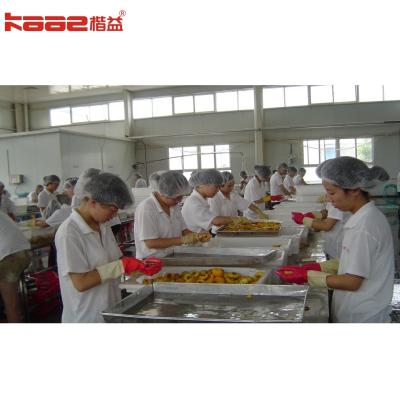 China Canned Fruit Peaches And Pineapples Fruit Canned Food Production Line for sale