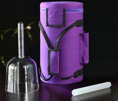 6 INCH HANDLE CLEAR CRYSTAL BOWLS WITH CARRYING BAGS