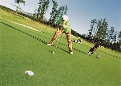 Китай Трава для зеленого цвета установки гольфа, трава курчавой высокой плотности искусственная фальшивки гольфа продается