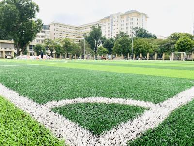 China Estera sintética 70m m de la hierba de verde de hierba de la hierba alfombra artificial artificial del césped de la mejor en venta