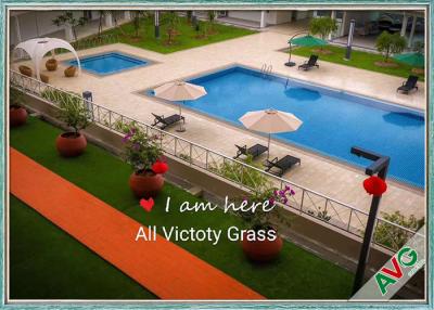 China Free Maintenance Pet Artificial Grass Natural Appearance Long Life Evergreen for sale