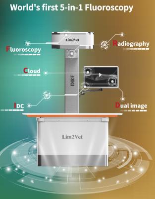 China 32KW Vet Medical Equipment Real Time Fluoroscopy Machine DR à venda