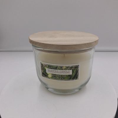 China OEM Fly Repellent Scented Outdoor Citronella Candle For Backyard for sale
