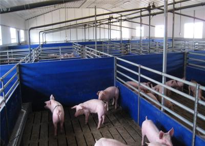 Chine La ferme en acier agricole jette les bétail/abri de porc pour la charge de vent rurale de 100~150 km/h à vendre
