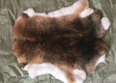 China 30*40cm Rex Rabbit Fur Skins Warm Soft , Chinchilla Rex Fur With Natural / Dyed Color for sale