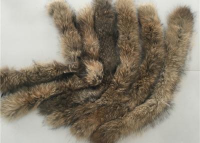 中国 コートのブラウン自然な色の本物の大きいアライグマの毛皮つばの暖かい柔らかさ 販売のため