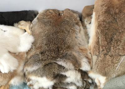 China Capa que alinea la densidad pesada mullida suave real de Rex de la piel entera del conejo para el invierno en venta