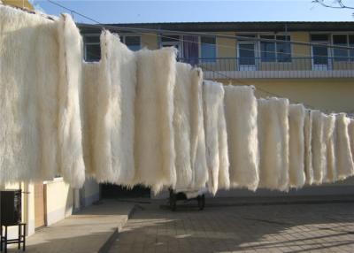 China La zalea larga del pelo de la manta tibetana de la lana de cordero teñió la alfombra mongol de la manta de la placa de la piel del cordero en venta