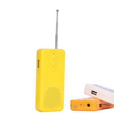 China Music USB FM Radio Receiver Yellow TF Card Lithium Battery Power With Speaker for sale