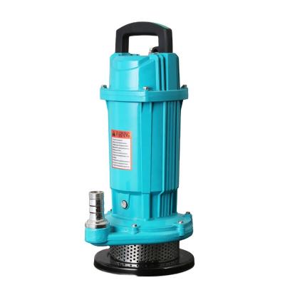 China 25mm garden submersible water pump For farm irrigation 220V 50Hz for sale