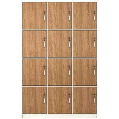 China Solid Wood PANEL Employee Locker with Locking Storage Room for Gym Bathroom Dormitory for sale