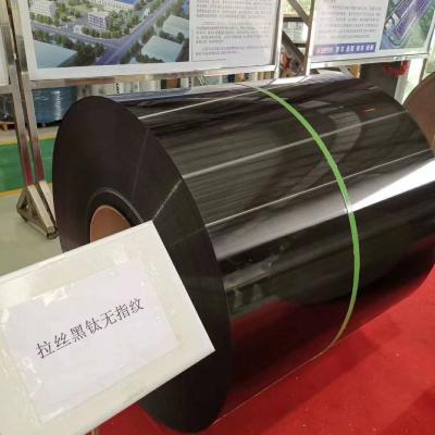 Chine 0.4-100mm 201 304 Black Mirror de finition de délié de feuille d'acier inoxydable à vendre