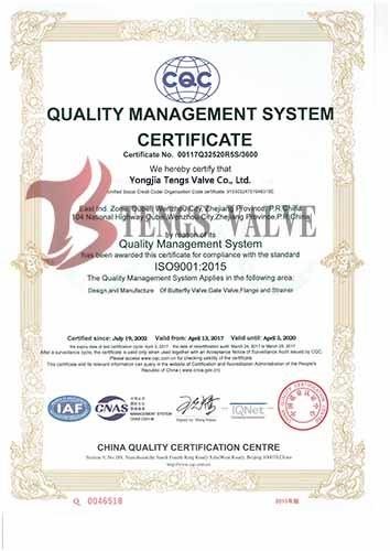 ISO9001 - Tengs Valve International Limited