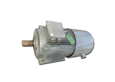 China 50RPM Permanent Magnetic Power Generator 10KW 20KW 50KW 100KW for sale